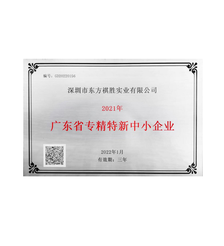 廣東省專精特新中小企業(yè)
